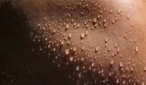 Why Do Our Bodies Sweat